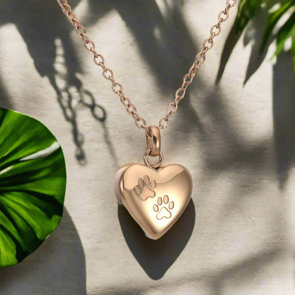 Pendentif avec Mémorial de Griffes et Cœur – Pendentif d'Urne en Acier Inoxydable