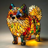 Simba | Pomerania Éclat Solaire